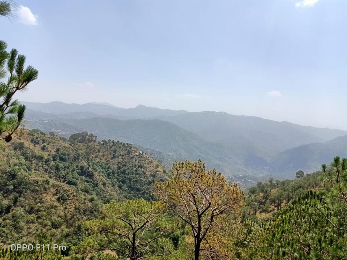 Vila Pine Peak Kasauli Exteriér fotografie